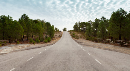 Fototapeta premium Lonely road with a blue sky