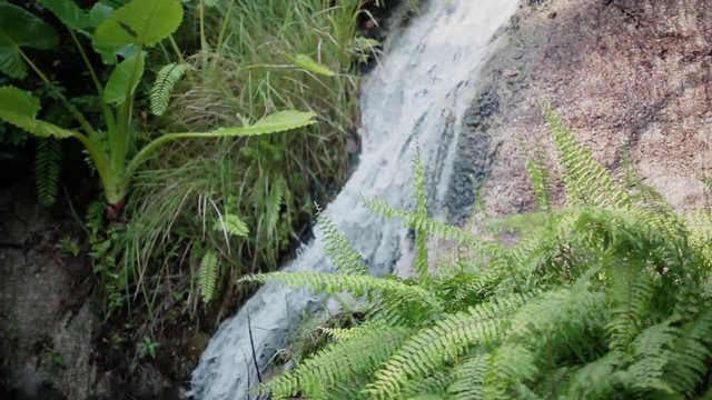 Paradise jungle forest with beautiful waterfall. Thailand. Emerald pond and exotic plants. Slow motion. 1920x1080