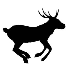 decoration, elegance, horned, object, shadow, buck, doe, big, vintage, cervus, cute, dappled, engraving, graceful, hoofed, mature, muzzle, powerful