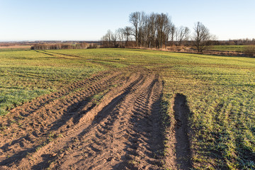 Tractor tire track in wet agricultural field.