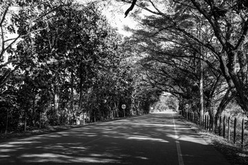 carretera