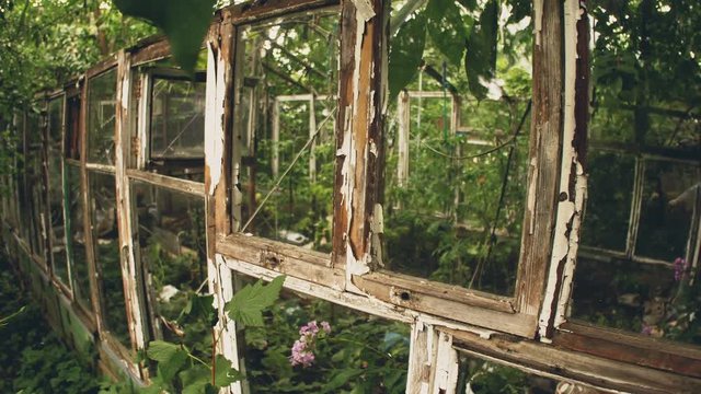 Frame of abandoned old greenhouse