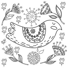 Coloring book fol adults. Folk set vector blask and whit illustration with beautiful birds and flowers. Scandinavian style. © olesiaagudova