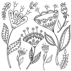 Coloring book fol adults. Folk set vector blask and whit illustration with beautiful birds and flowers. Scandinavian style. © olesiaagudova