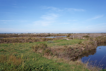 Maris de l`&Icirc;le de R&eacute; en Charente maritime