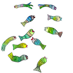 Mexican colorful fish