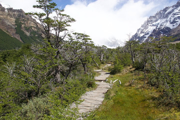 Trail to Cerro Torre at the Los Glaciares National Park, Argentina