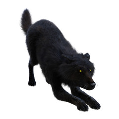 3D Rendering Black Wolf on White
