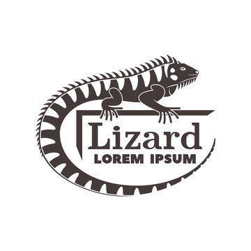 Monochrome logo with the image of a lizard, iguanas with text isolated on  white background. Stock Vector | Adobe Stock