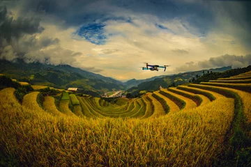 Papier Peint photo Mu Cang Chai Modern Drone with camera flying on rice fields terraced at sunset in Mu Cang Chai, YenBai, Vietnam.