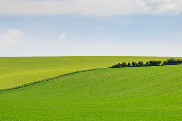 Green Fields