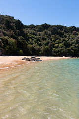 New Zealand Abel Tasman National park bay landscape with clear water on the beach - 189182945