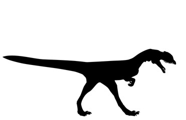 Dinosaur Dilophosaurus wetherilli silhouette on white, vector