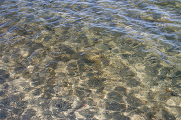 Sandy shore of the lake