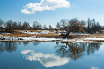 Dark Old Tree With Branches With Shadow On River Coast With Reflection Of Cloud On Bright Blue Sunny Sky At Spring Day.
