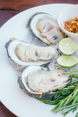 Oyster shell with spicy sauce