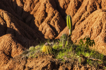 Desierto de La Tatacoa en Colombia.