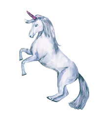unicorn. Illustration watercolor, handmade