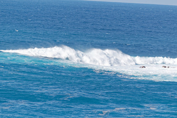 Harbour of Los Cristianos bay, Tenerife, Spain