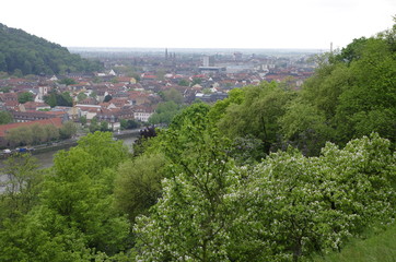 Heidelberg  ハイデルベルクの風景