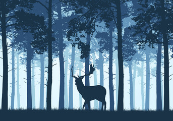 Blue coniferous forest with a fallow deer