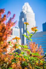 aututmn season in charlotte north carolina