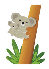 mamma koala  e il suo cucciolo © bennuccia