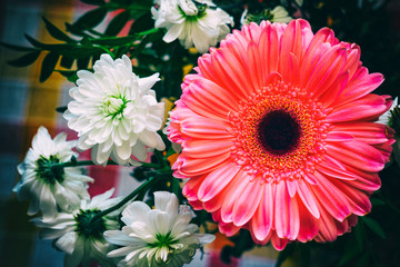 Large flower of pink gerbera and small white chrysanthemum