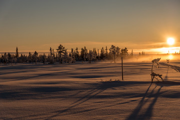Beautiful winter view from the top of a Swedish mountain in wintertime © Magnus