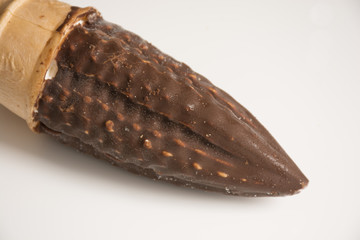 chocolate and vanilla cone
