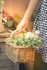 Woman hand holding flowers basket.