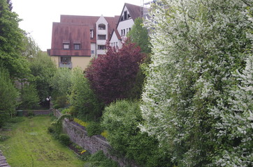 ulm ウルムの風景