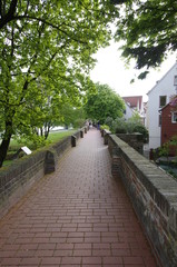 ulm ウルムの風景