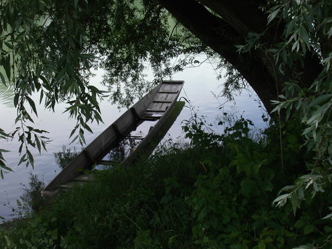 Altrhein