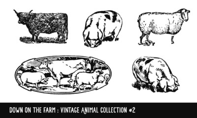 Vintage Farm Animals Collection