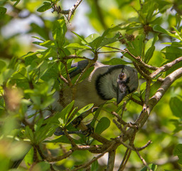 Nature Photography