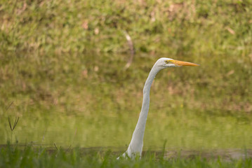 Nature Photography