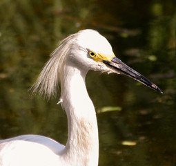 Nature Photography