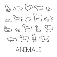animal icons