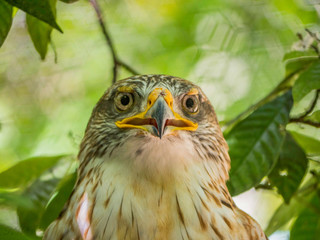 Nature Photography