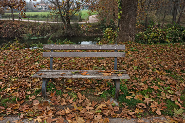 An empty park bench by the lake in winter.