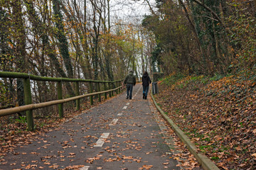 two people walk in the park in winter