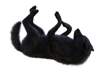 3D Rendering Black Wolf on White