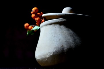 berries in bowl
