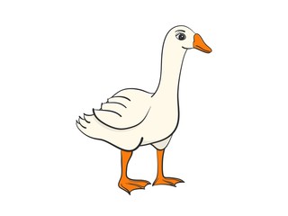 Cartoon illustration of white domestic goose