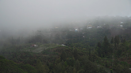 Farmland, fields with white fog, clouds Bali,Indonesia. Fog, cloud over farmland. Rural mountain landscape of fields with fence, trees.