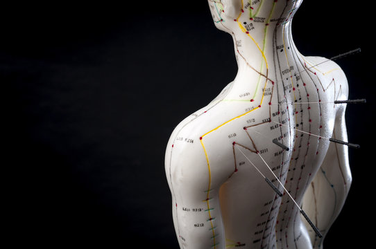 Alternative medicine and east asian healing methods concept with acupuncture dummy model with copy space. Acupuncture is the practice of inserting needles in the subcutaneous tissue, skin and muscles