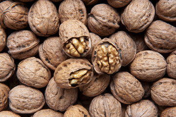 Walnuts. Open and closed walnuts