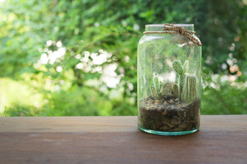 Mini cactus garden in glass bottle.