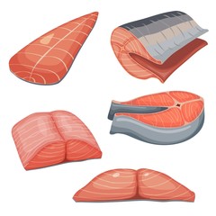 Color illustration of a collection of pieces of fresh salmon meat on a white background. Vector illustration of a set of pieces of red fish, salmon, steelhead